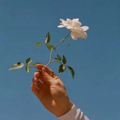 圣痕觉醒内购破解版下载